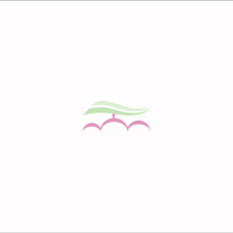 Amminsitazione Trasparente