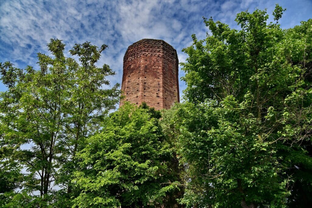 Visit of the Tower - Corneliano d'Alba