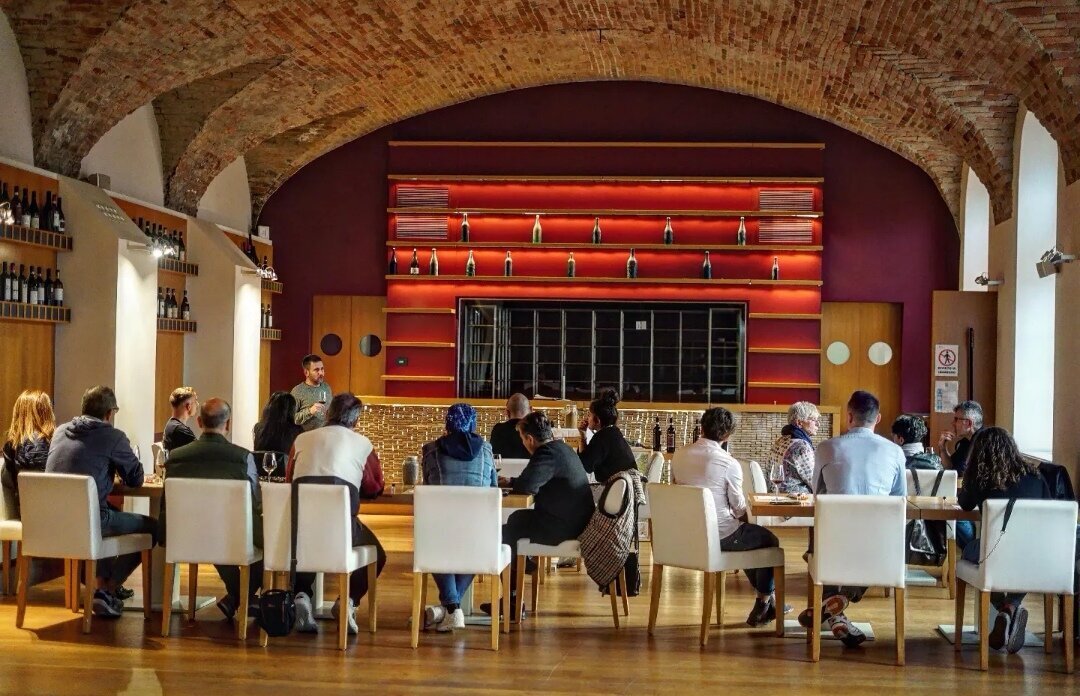 Wine Experience - Barolo