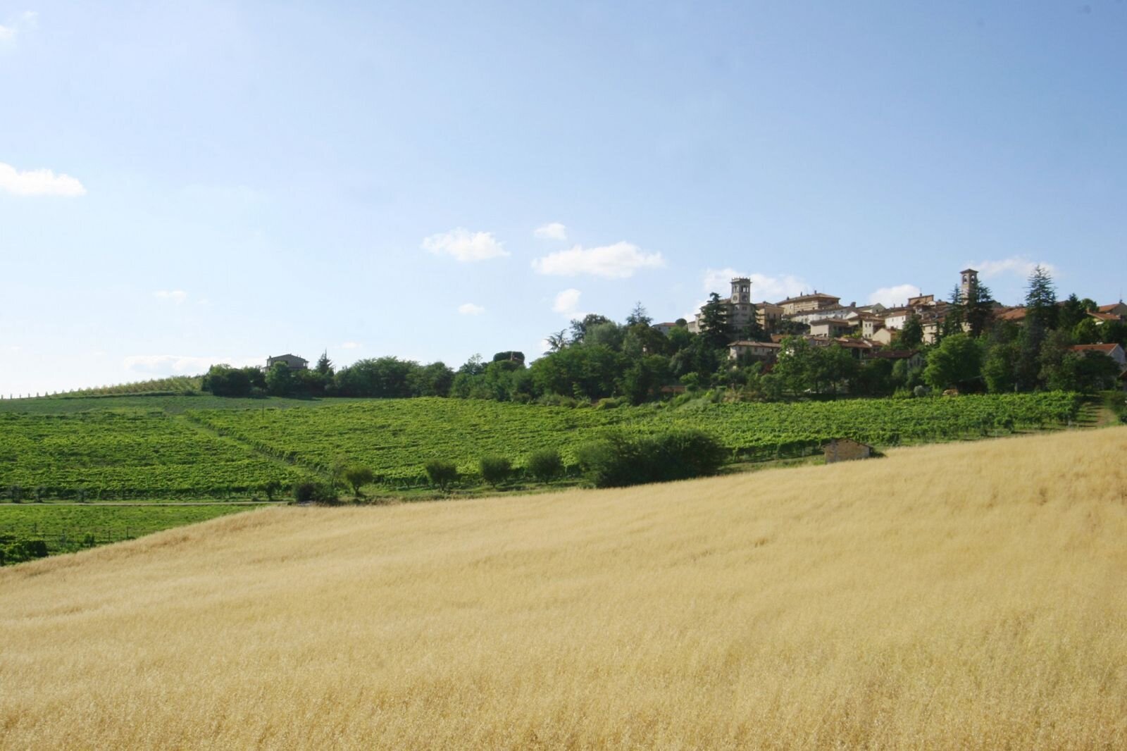 Walking the Monferrato in Cella Monte