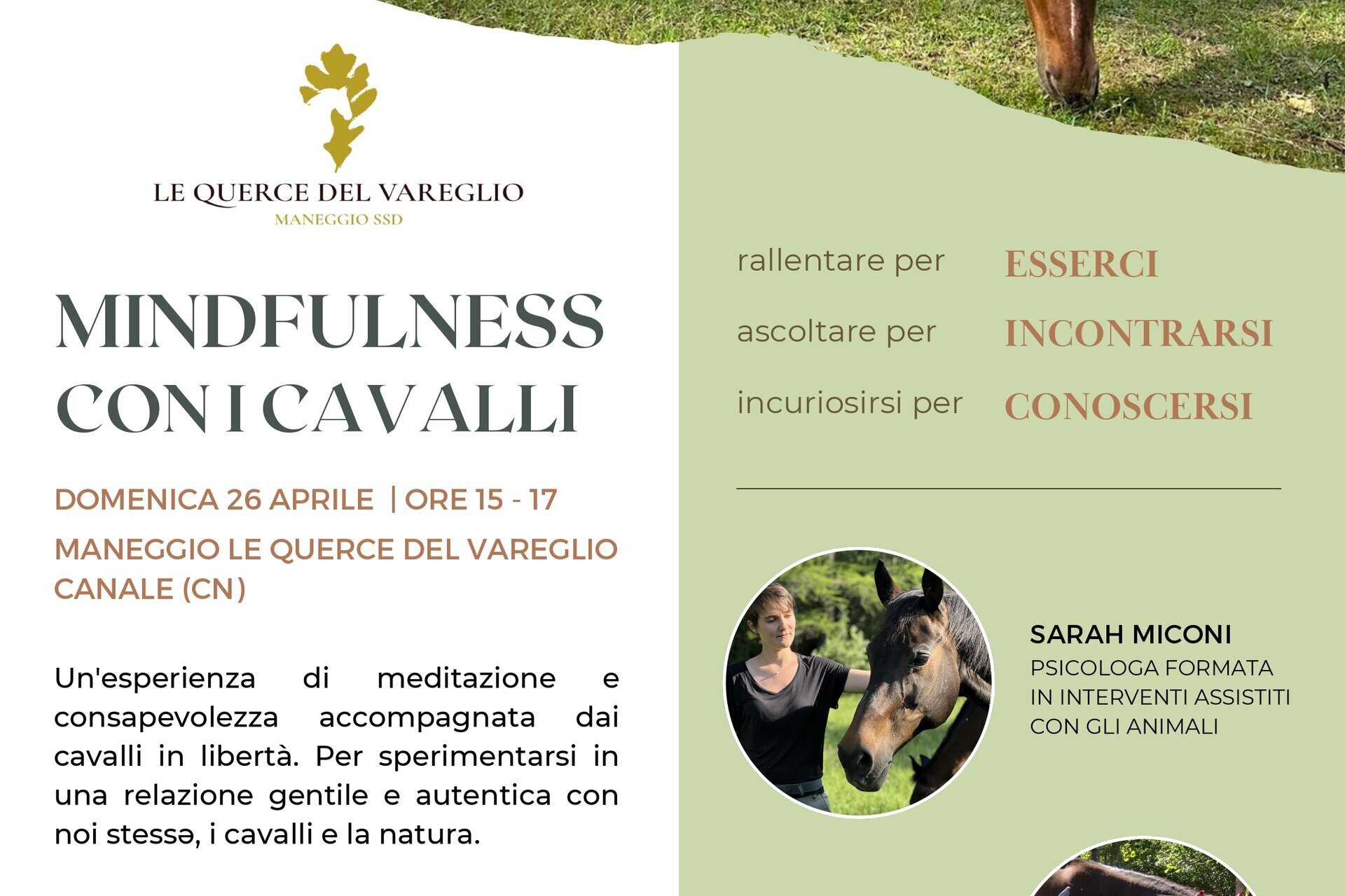 Mindfulness con i Cavalli - Canale 