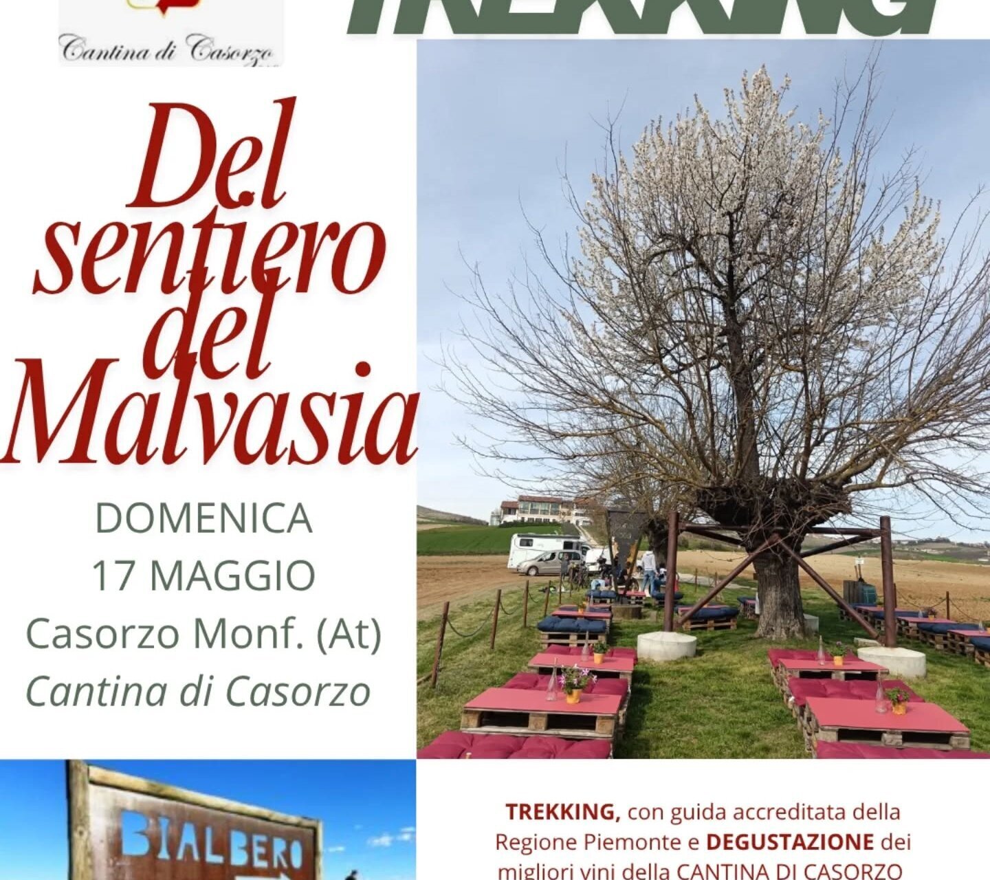 Wine Trekking sul sentiero del Malvasia - Casorzo (AT)