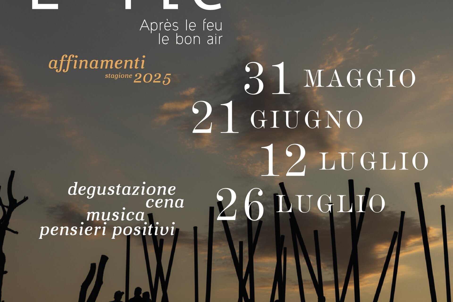 Into the Wild - events in the vineyards - Canale