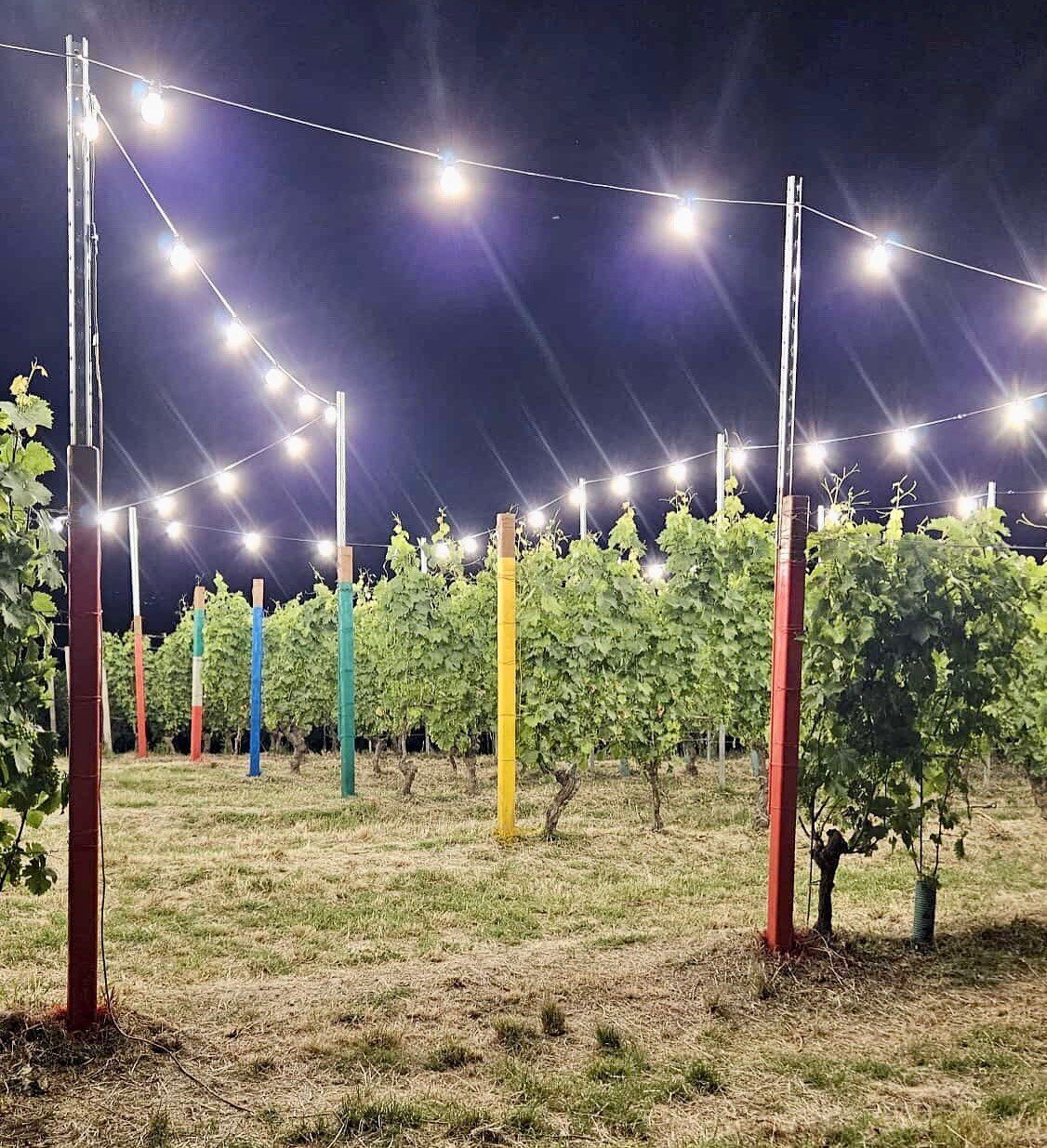 Cene in vigna - Costigliole d'Asti