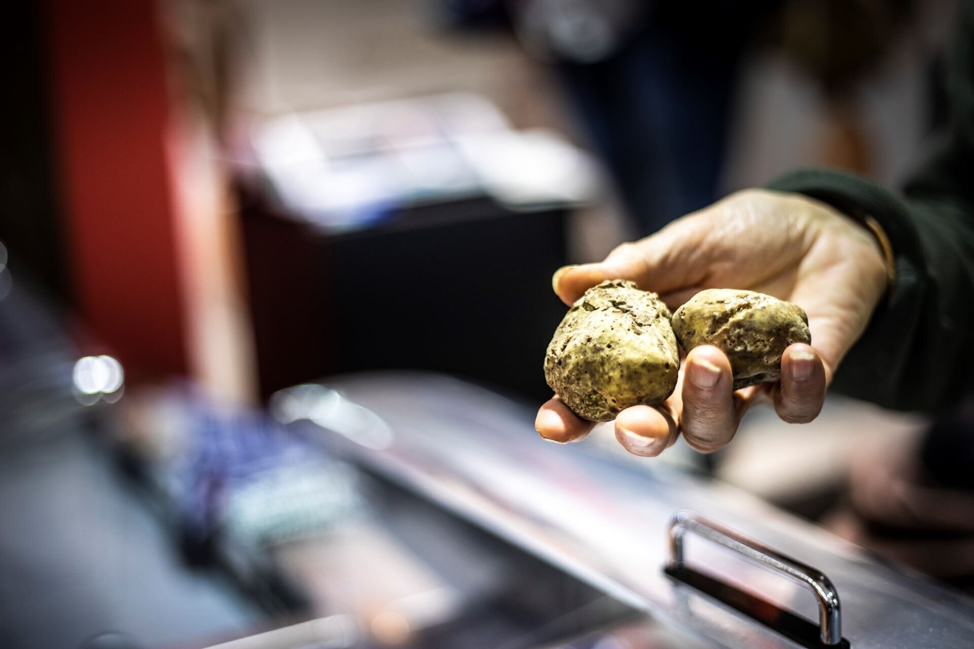 Fiera del tartufo di Canelli