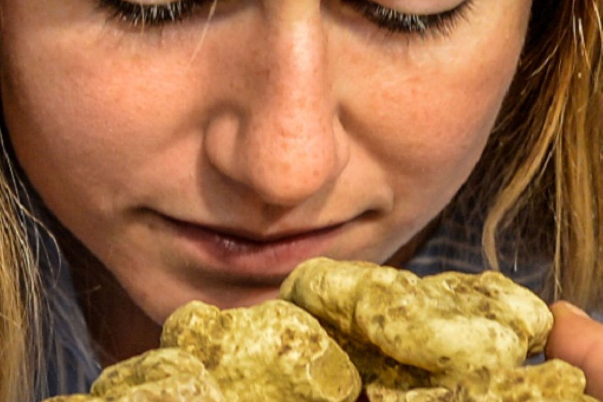 The International Alba White Truffle Fair