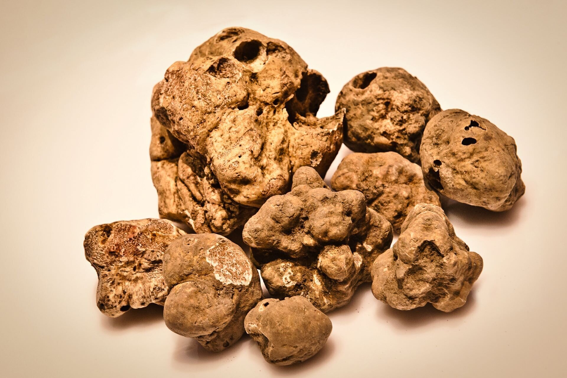 Fiera Nazionale del Tartufo di San Damiano d'Asti e Fiera dei Santi