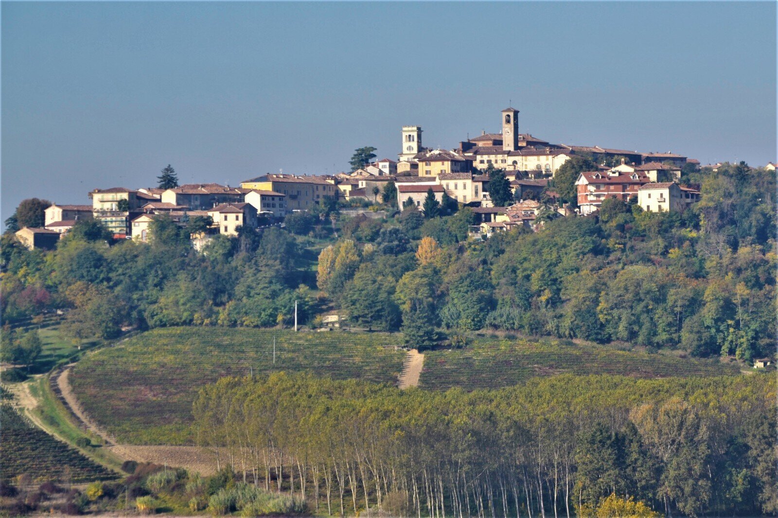 Fiera Regionale Del Tartufo Bianco In Valle Ghenza 8a22af93543c9664a8a2894c8d9e0310