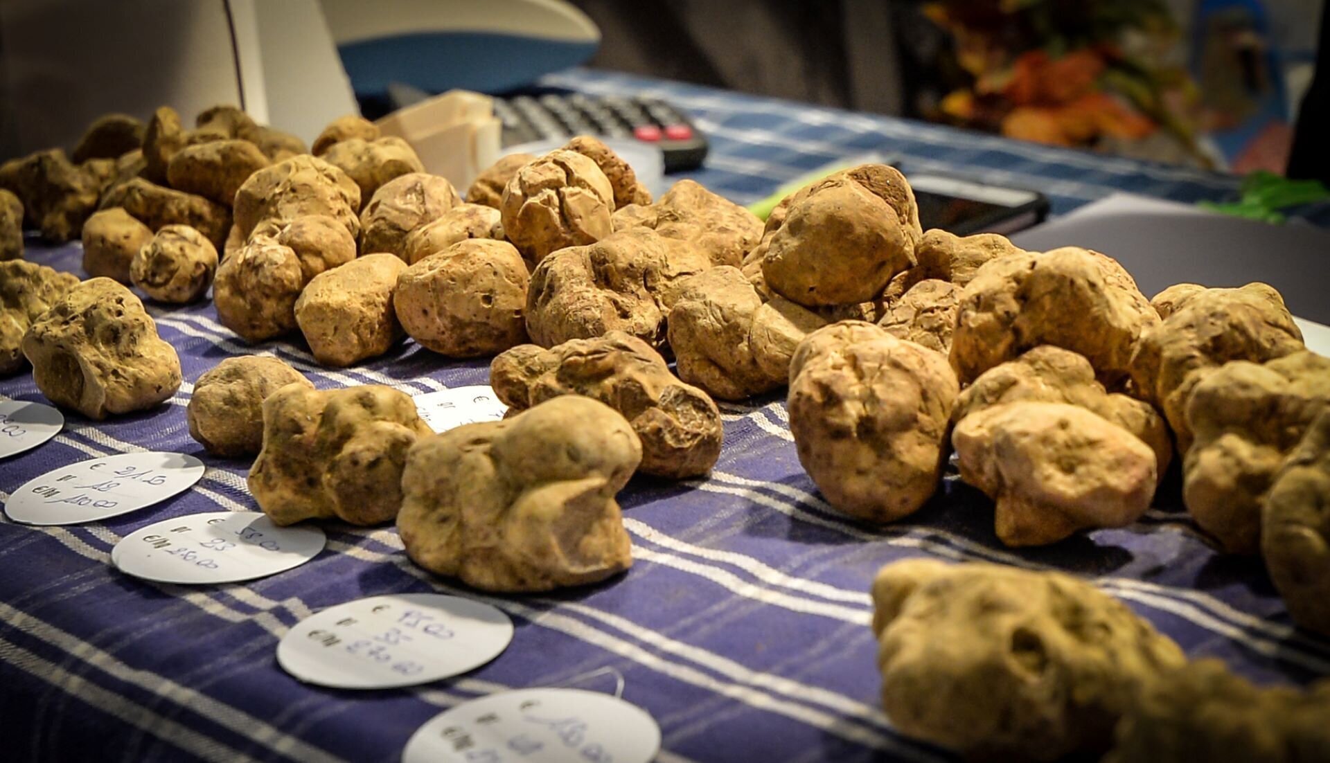 Fiera Regionale del Tartufo - Cortazzone