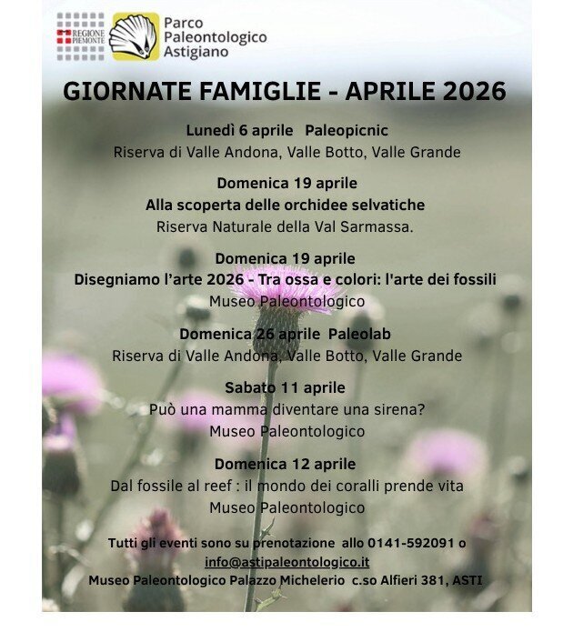 Family Days at the Paleontological Museum - Asti