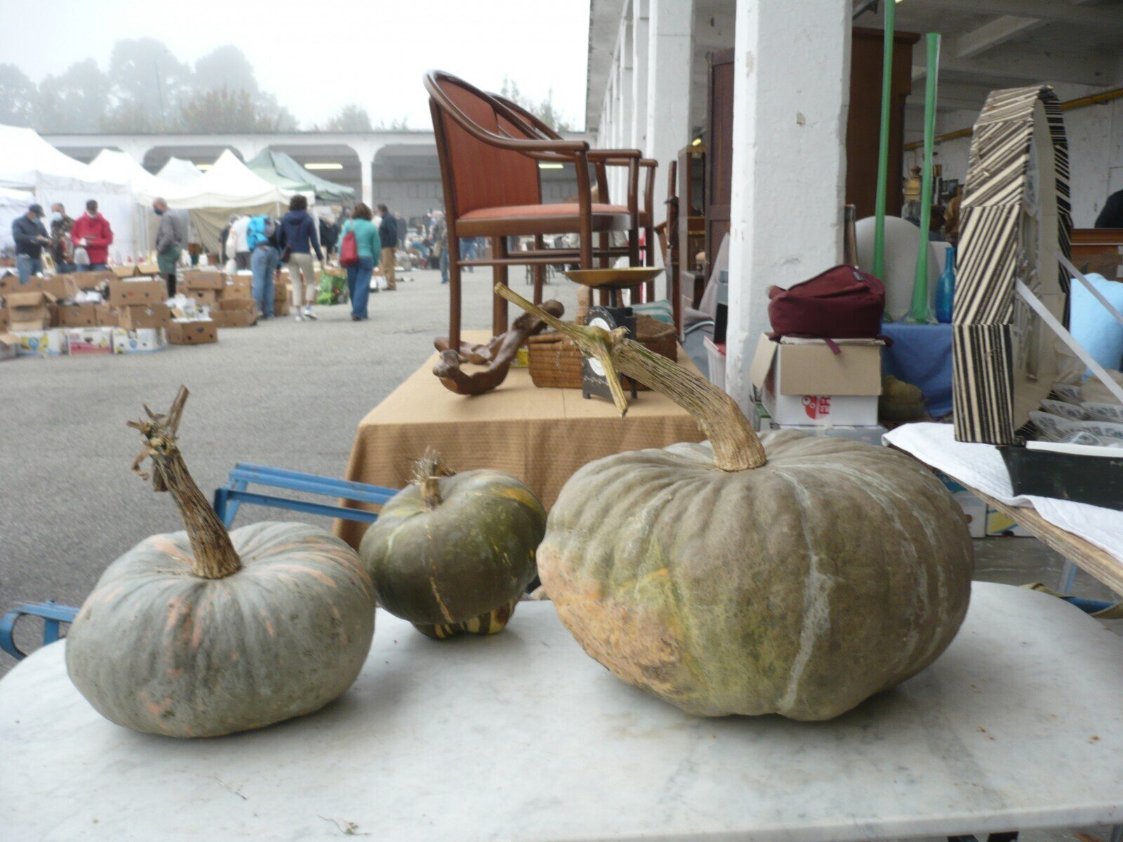 Mercatino Antiquariato