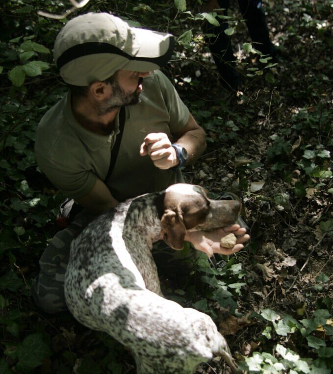 Cerca del tartufo e pranzo di primavera - Montà d'Alba (CN)