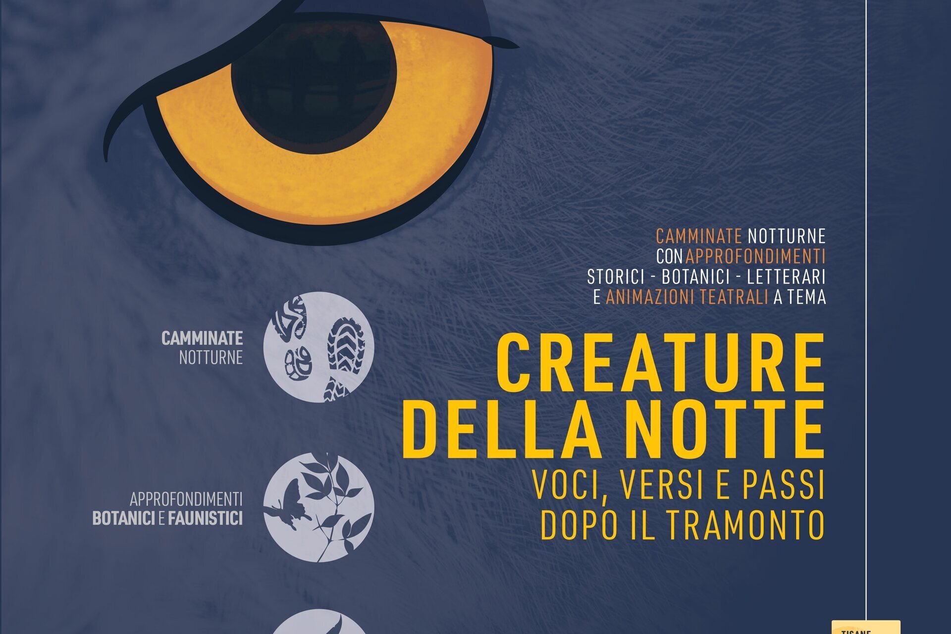 Notturni nelle Rocche