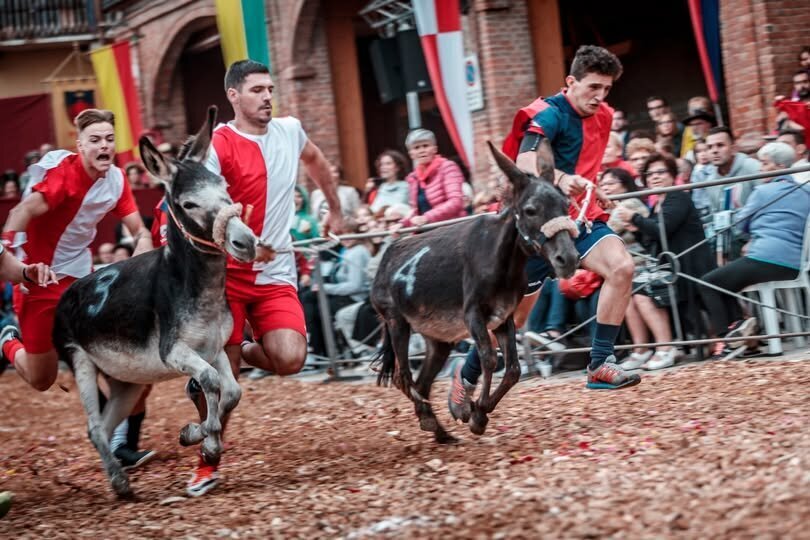 Palio degli Asini - Cocconato