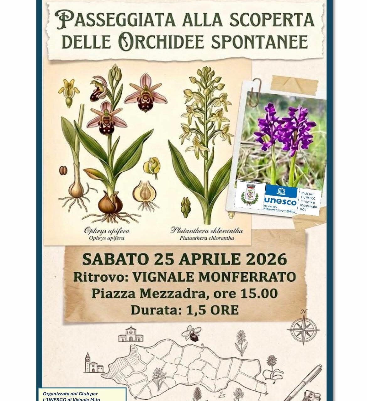 Passeggiata Alla Scoperta Delle Orchidee Spontanee Ba6e1915b59bbdcdf06cd814d770866c