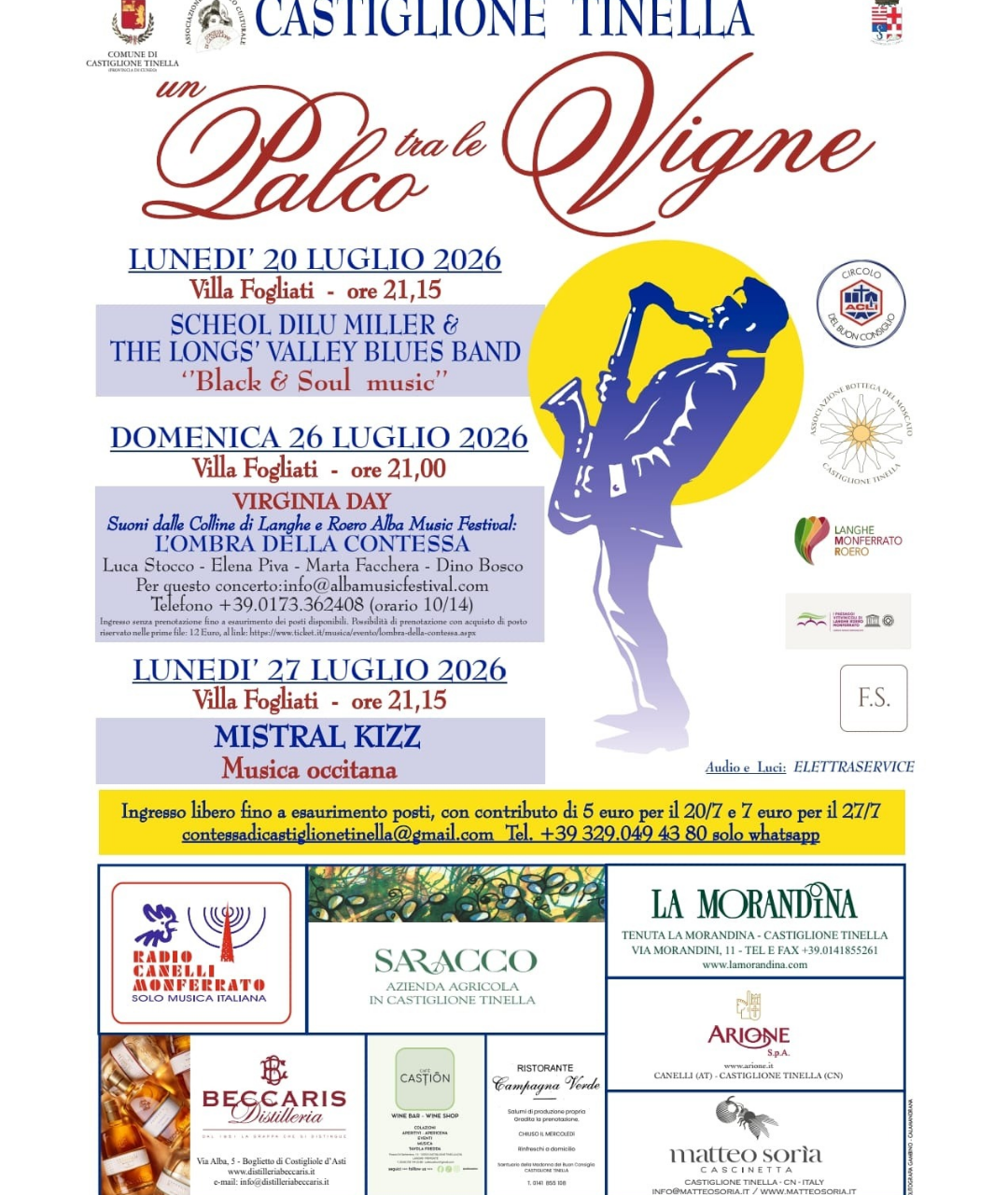 Un palco tra le vigne - Castiglione Tinella