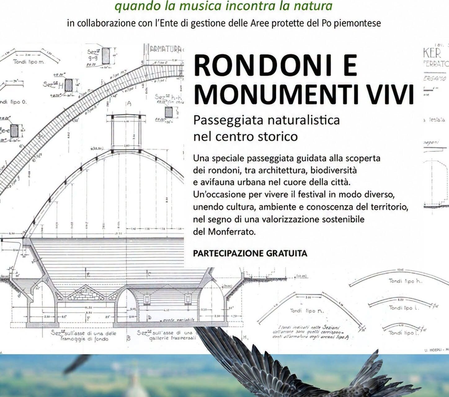 RONDONI