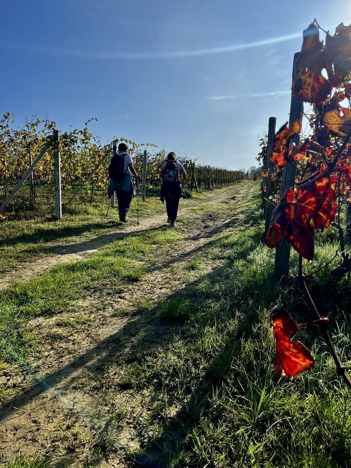 Guided Walks Spring 2026 - Langhe