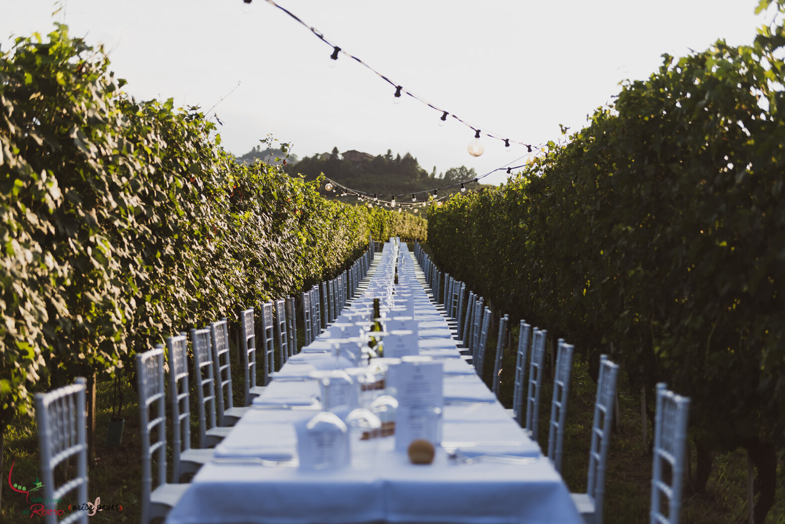 Sotto il cielo del Roero - Social eating tra i filari - Montà - Canale