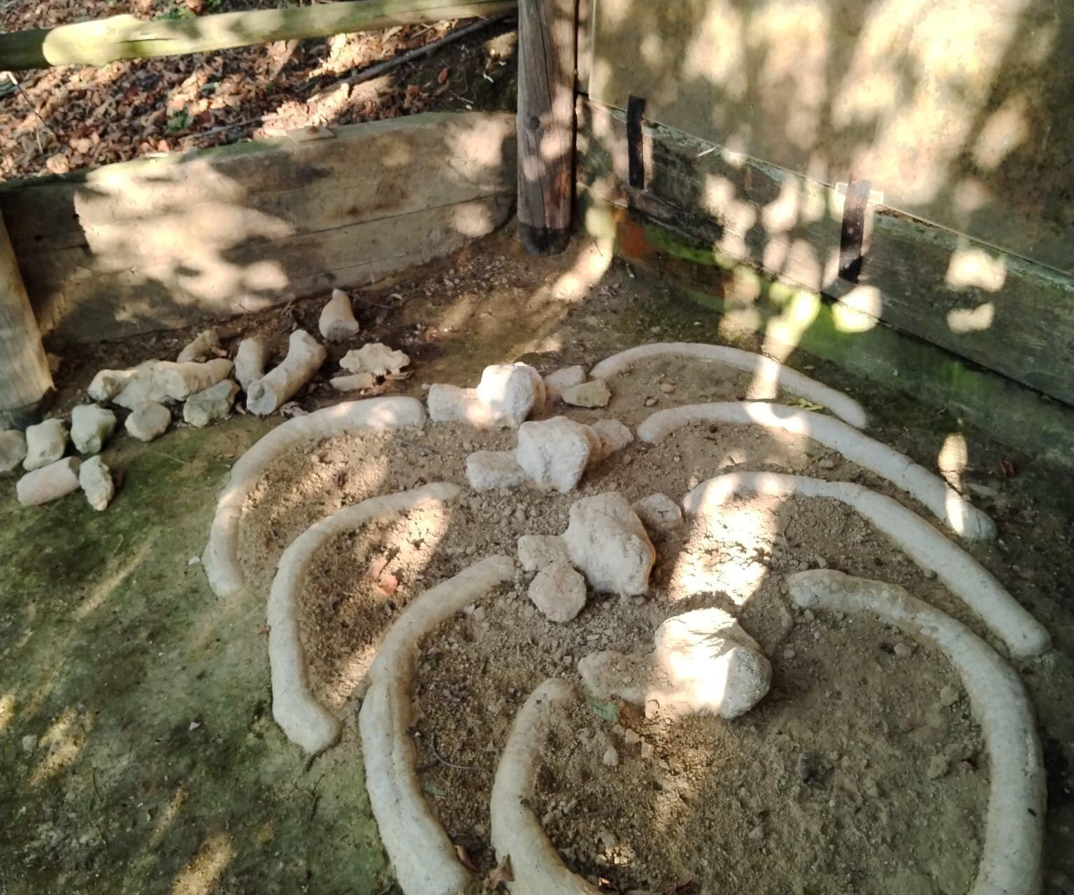 "Su e giù per le colline del mare" - Vigliano d'Asti