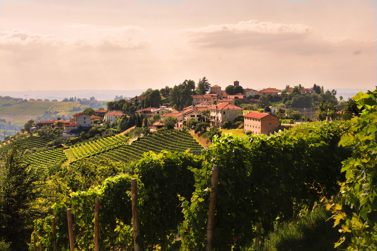 All On Board! On foot from Neive to Neviglie and the “Cena in Contrada” - Neive