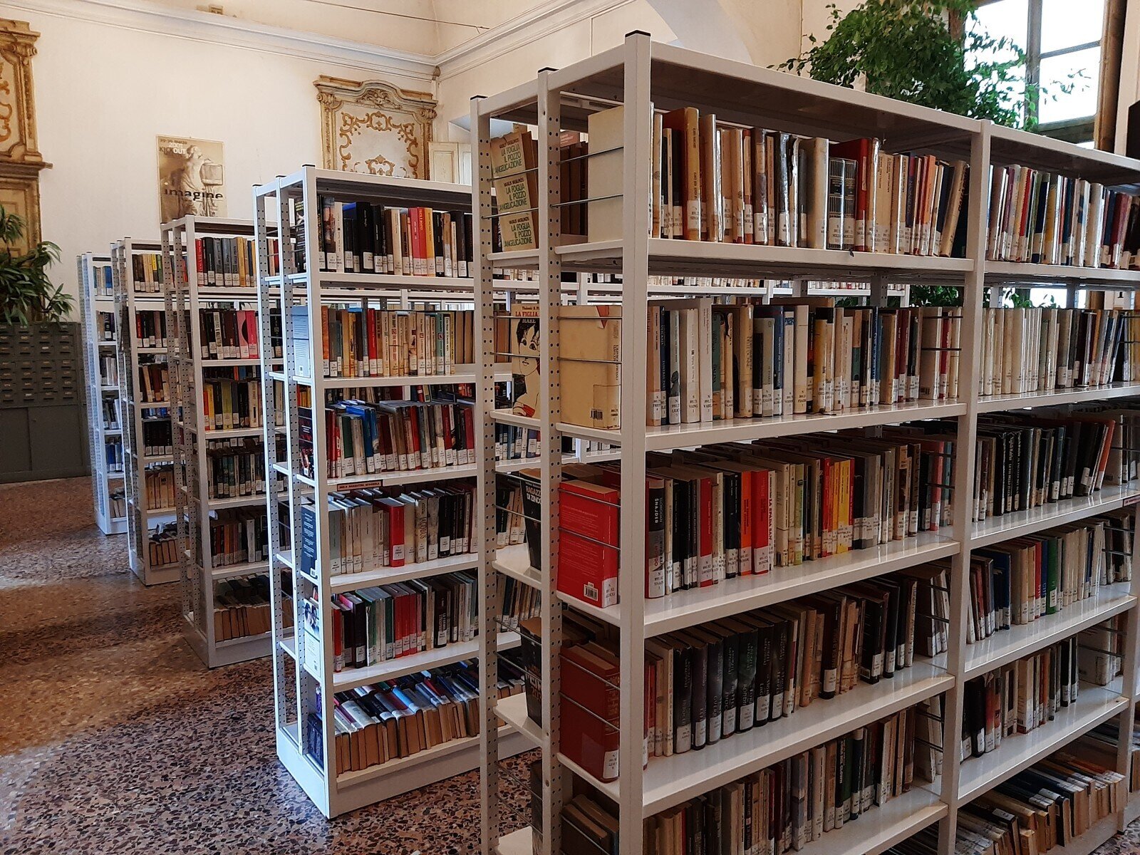 Visita guidata alla Biblioteca Civica