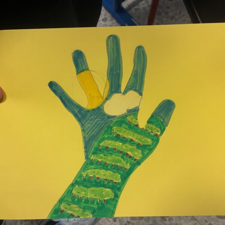 Disegno Formazione Primaria