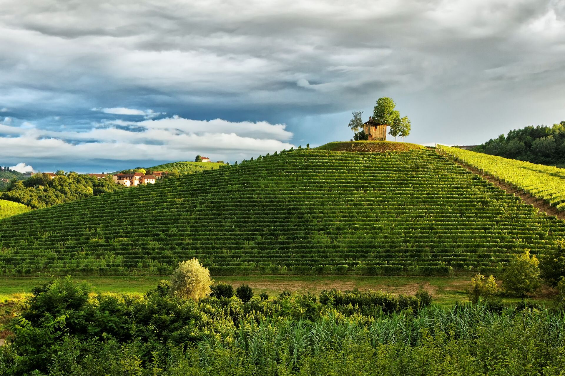 Carlo Avataneo Archivio Paesaggi Vitivinicoli Del Piemonte Langhe Roero E Monferrato Unesco