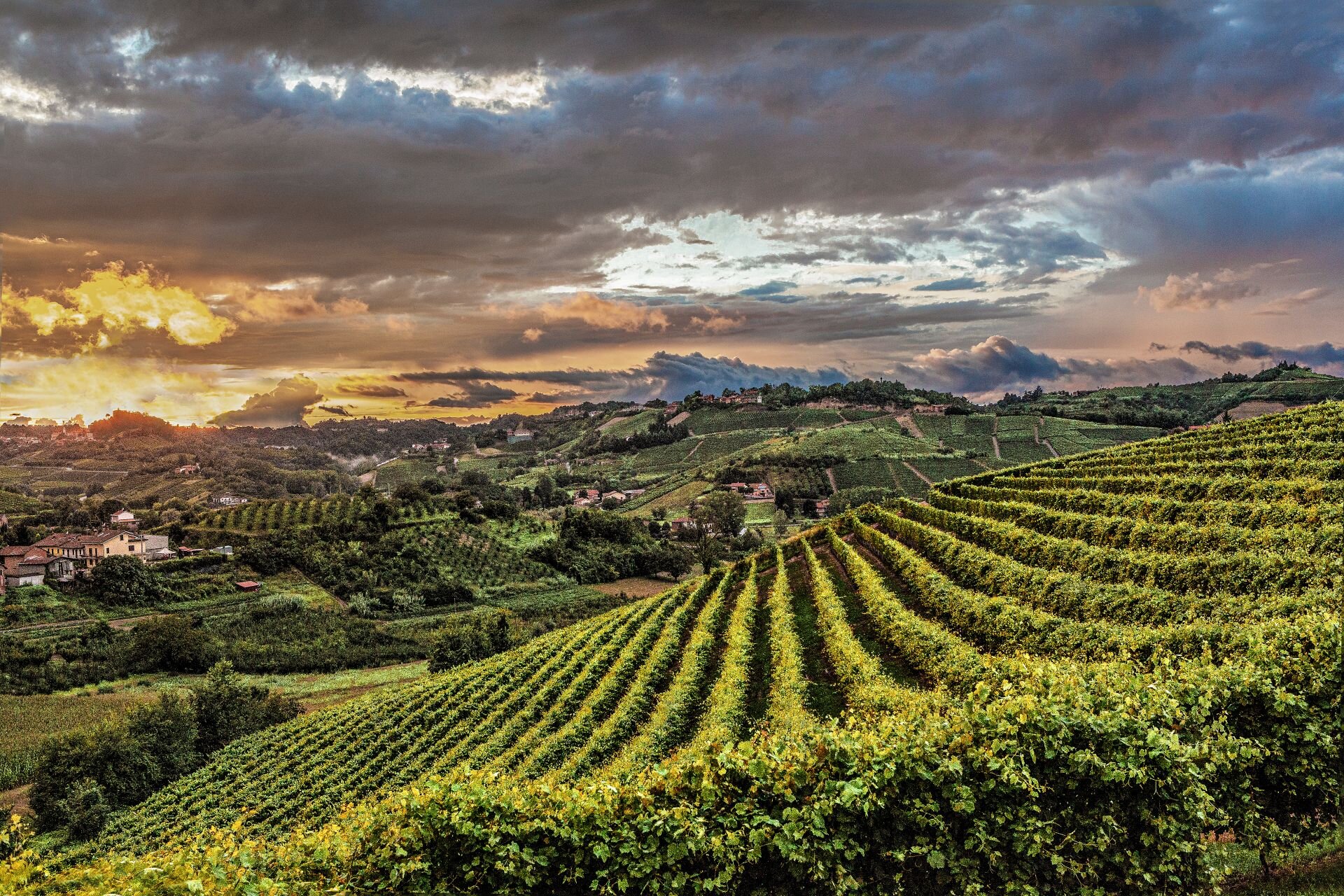Carlo Avataneo Archivio Paesaggi Vitivinicoli Del Piemonte Langhe Roero E Monferrato Unesco 3