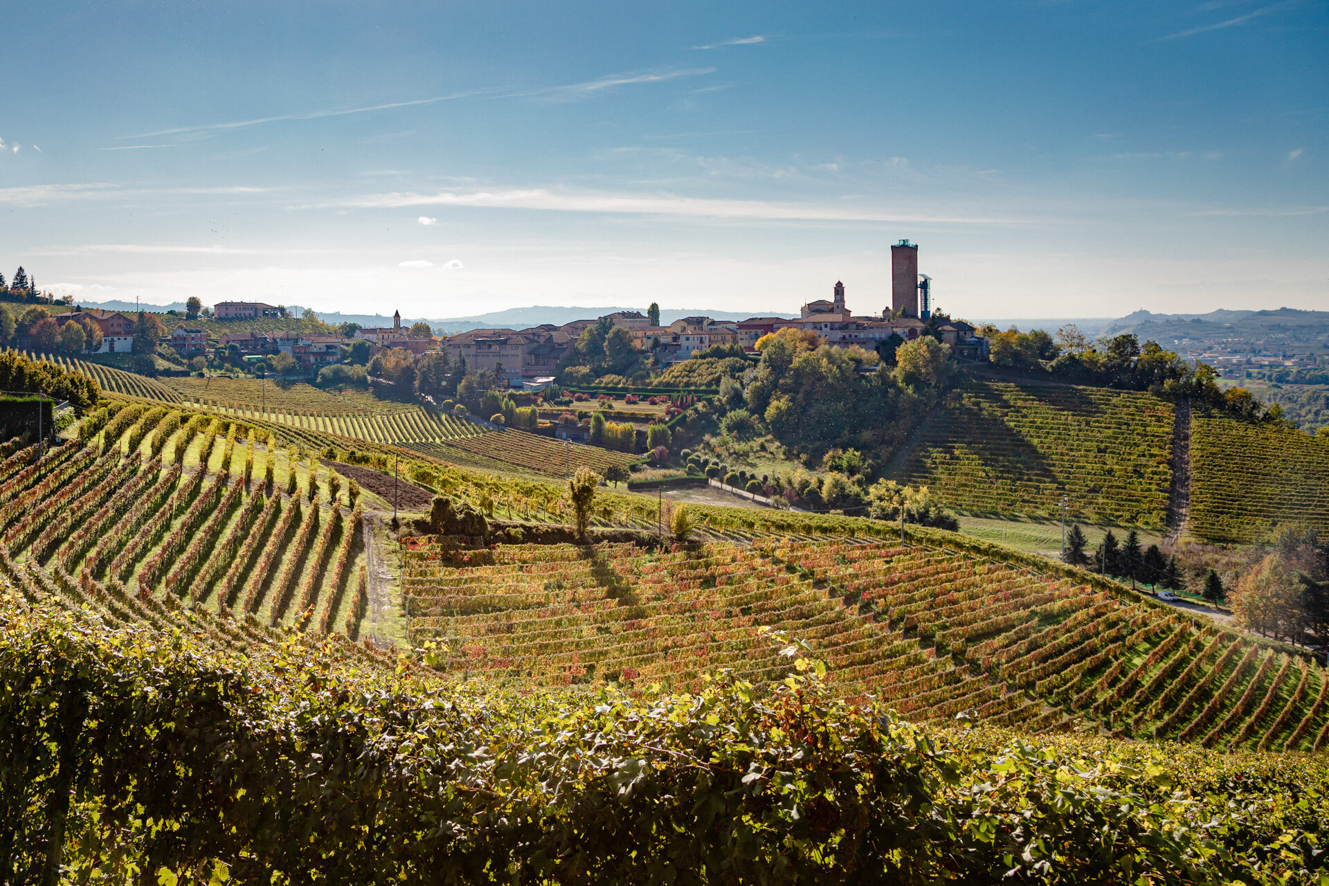 Foto Componente Barbaresco