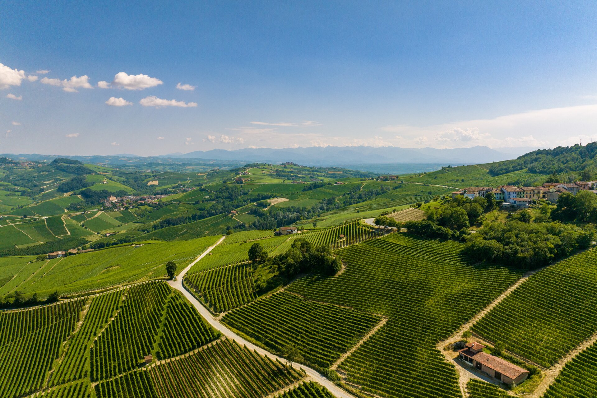 Foto Componente Langa Barolo